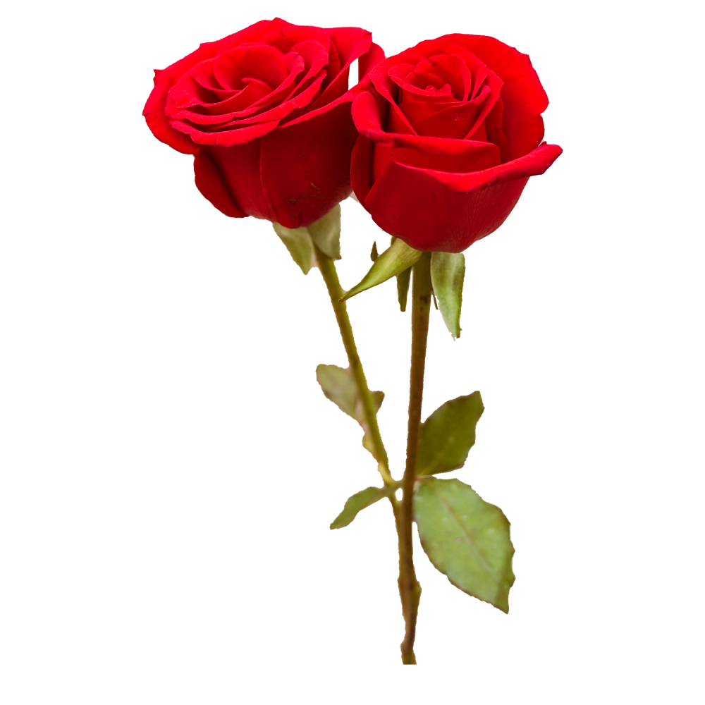 wedding flowers